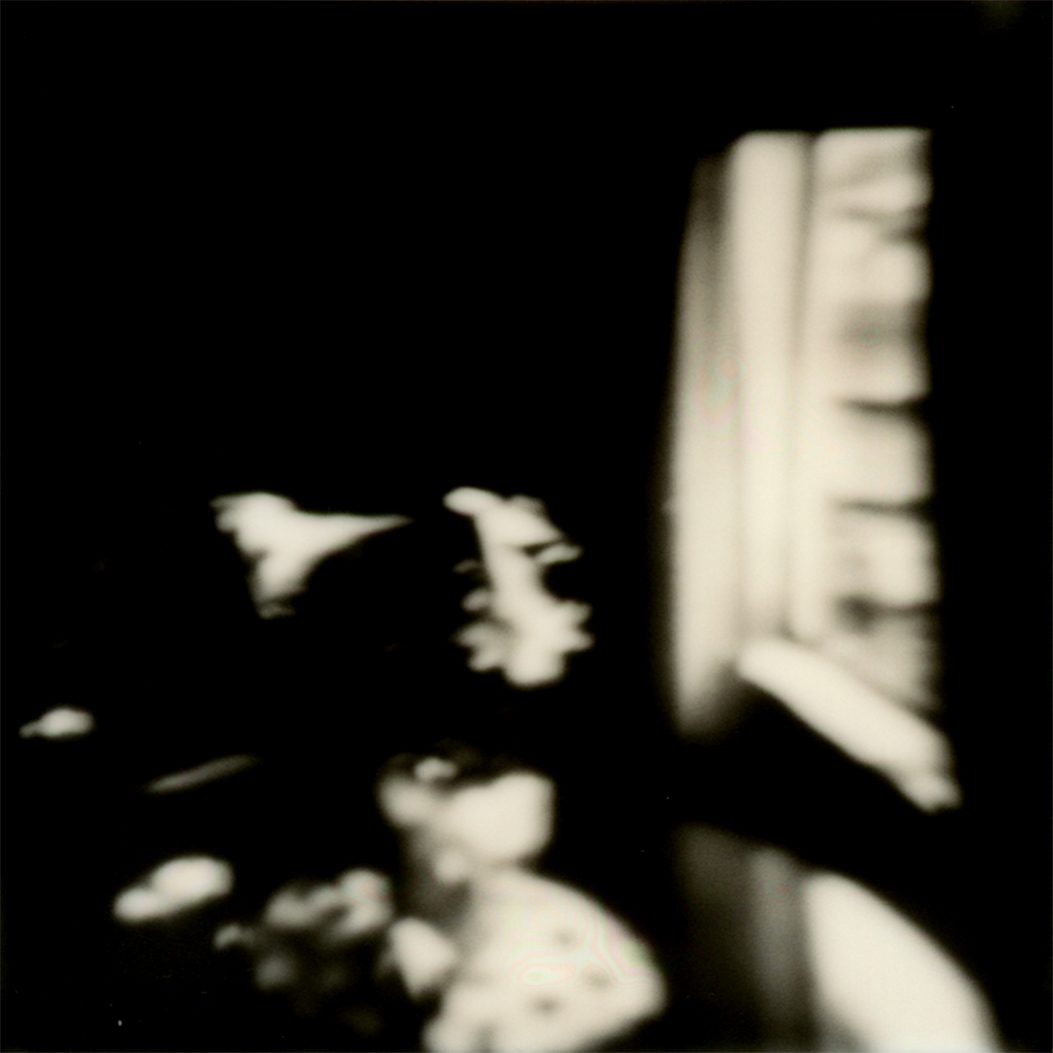 Polaroid 03