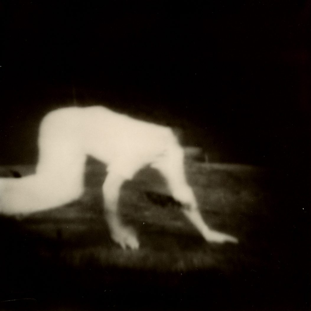 Polaroid 09