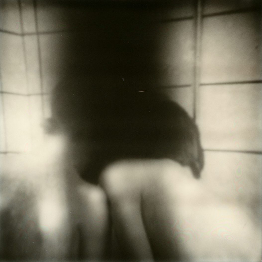 Polaroid 11