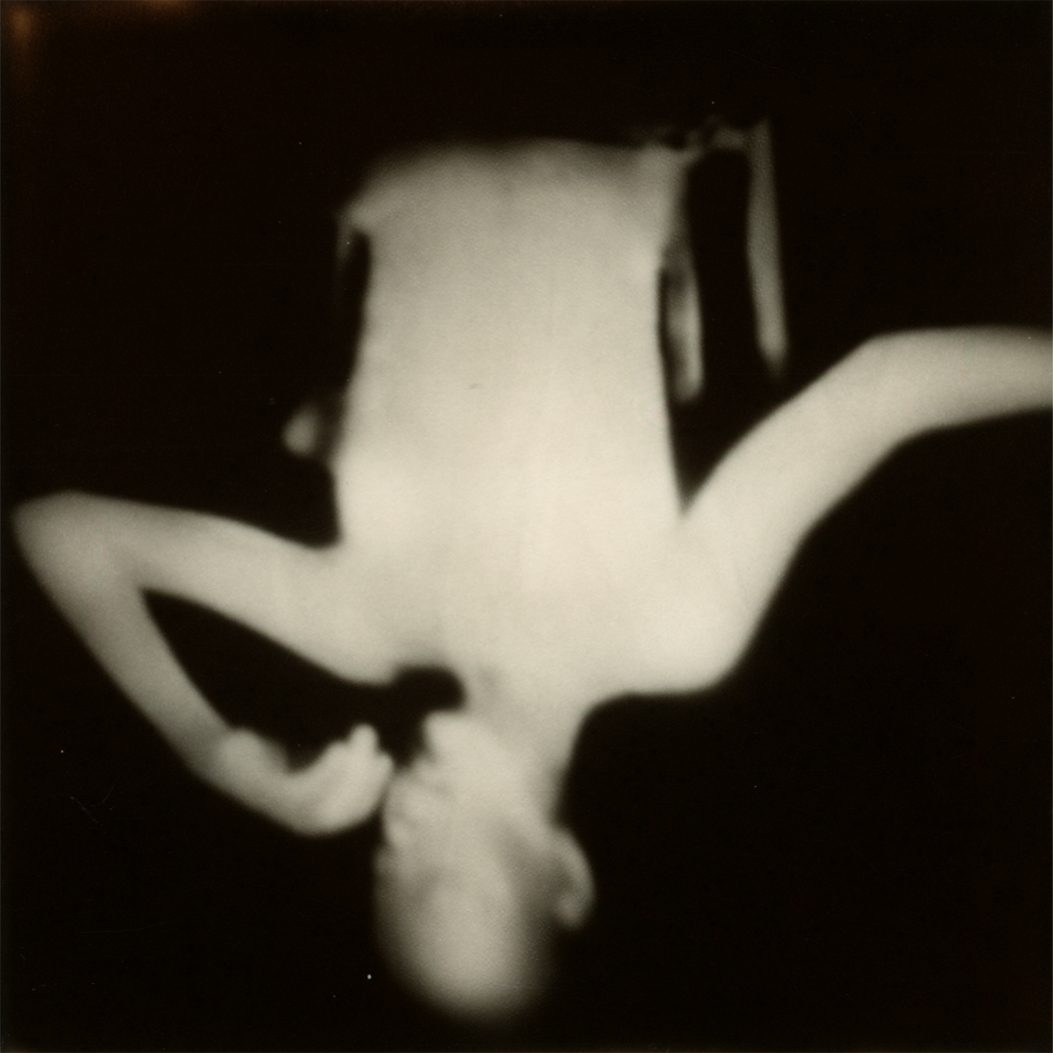 Polaroid 15
