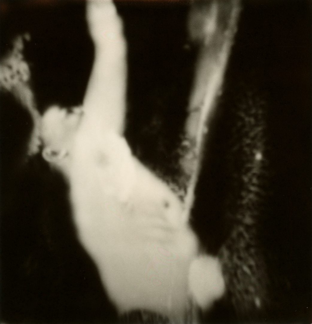 Polaroid 19