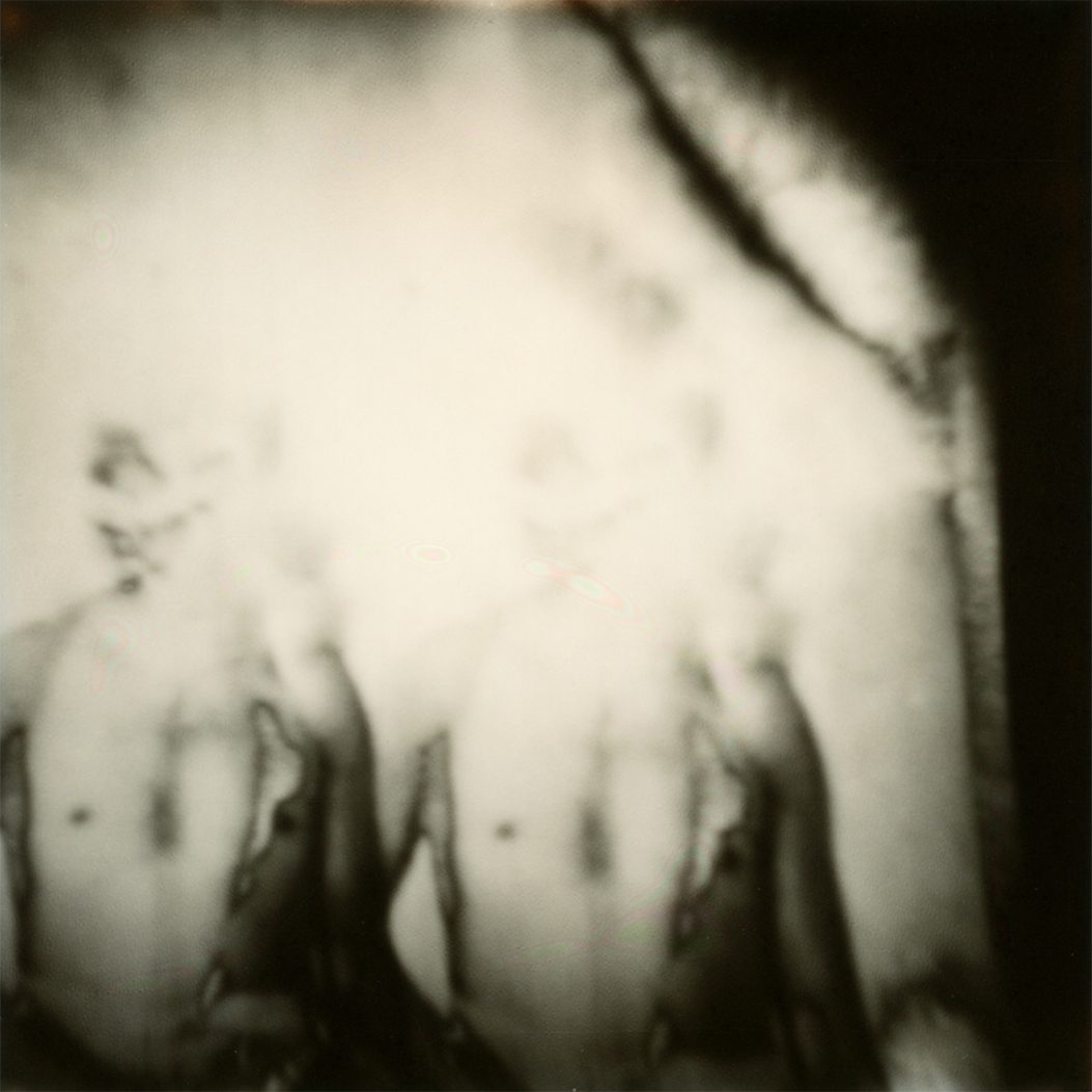 Polaroid 24