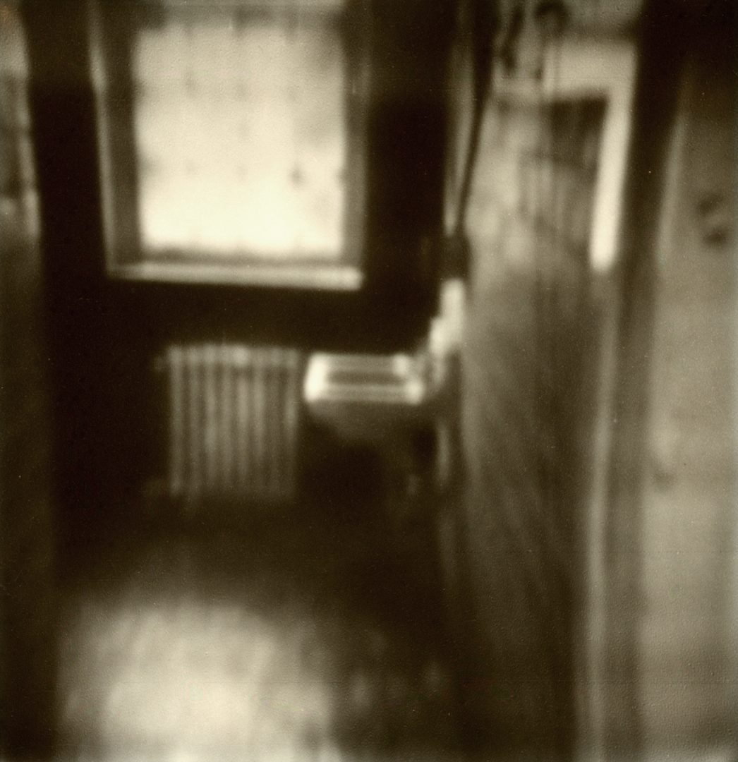 Polaroid 29