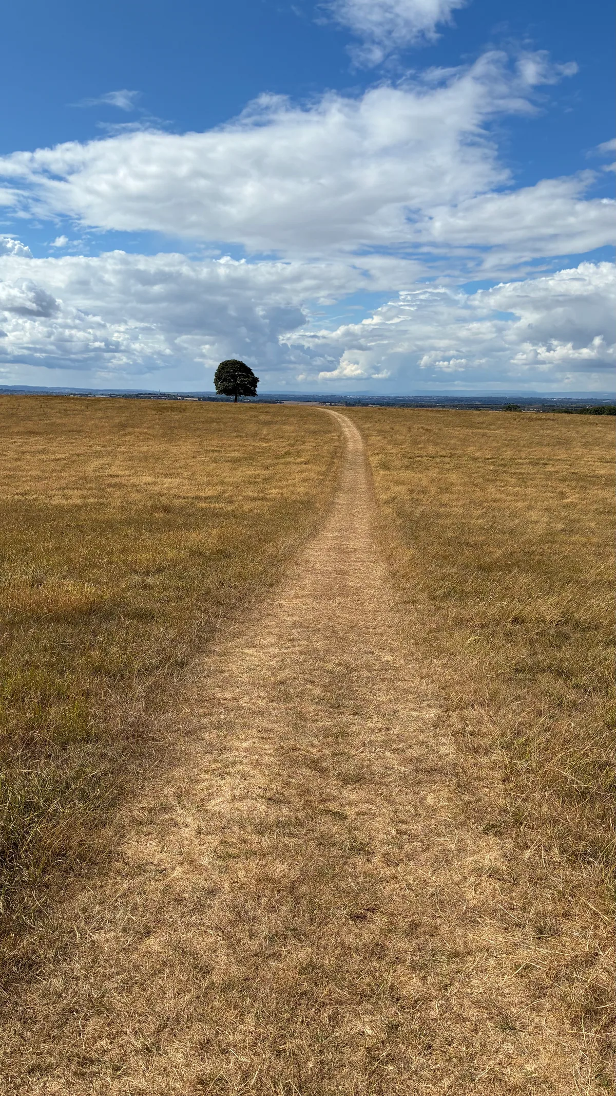 PLACES #2, photograph 2 of 4