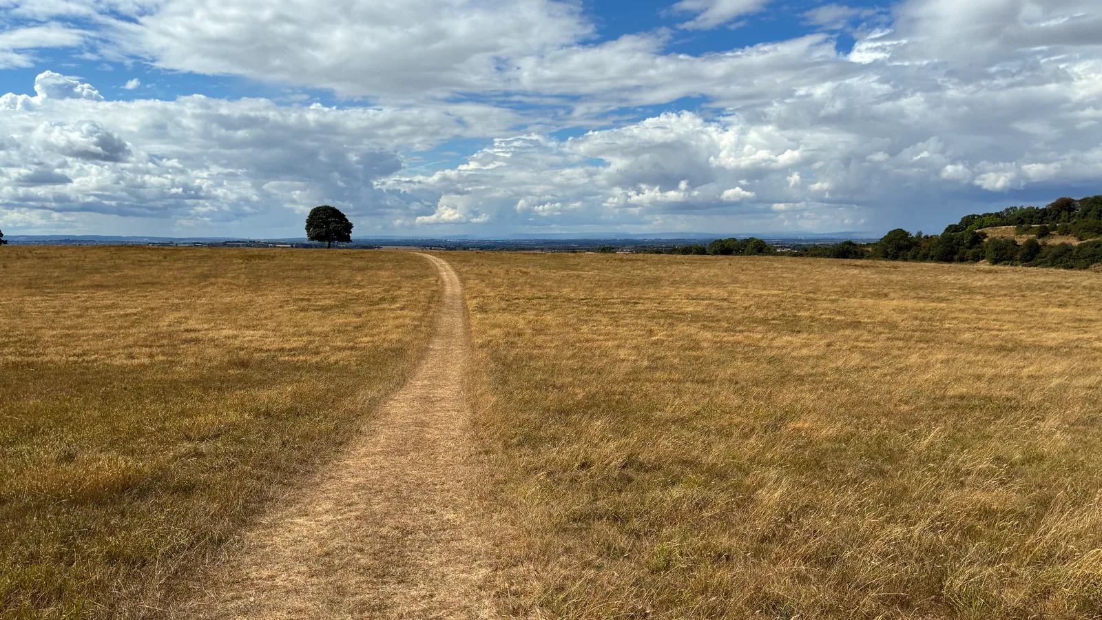 PLACES #2, photograph 3 of 4