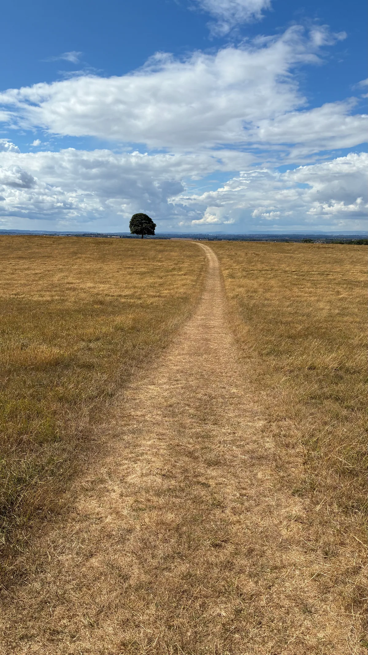 PLACES #2, photograph 4 of 4